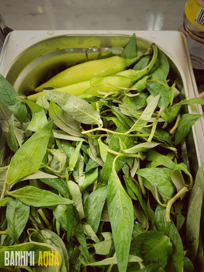 Fresh ingredients